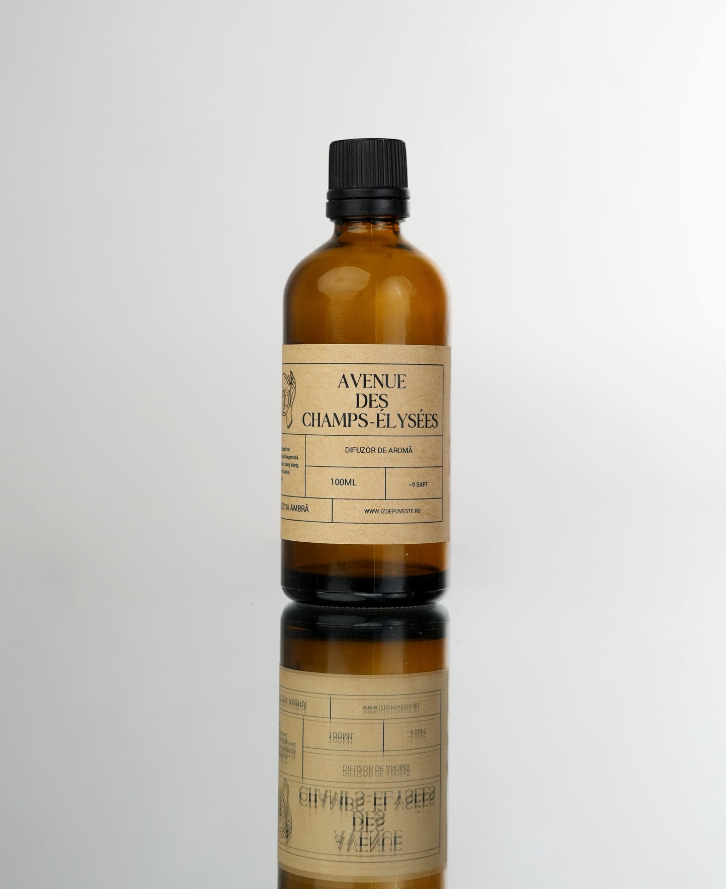 Mix parfumat pentru difuzorul cu bețe 100ml