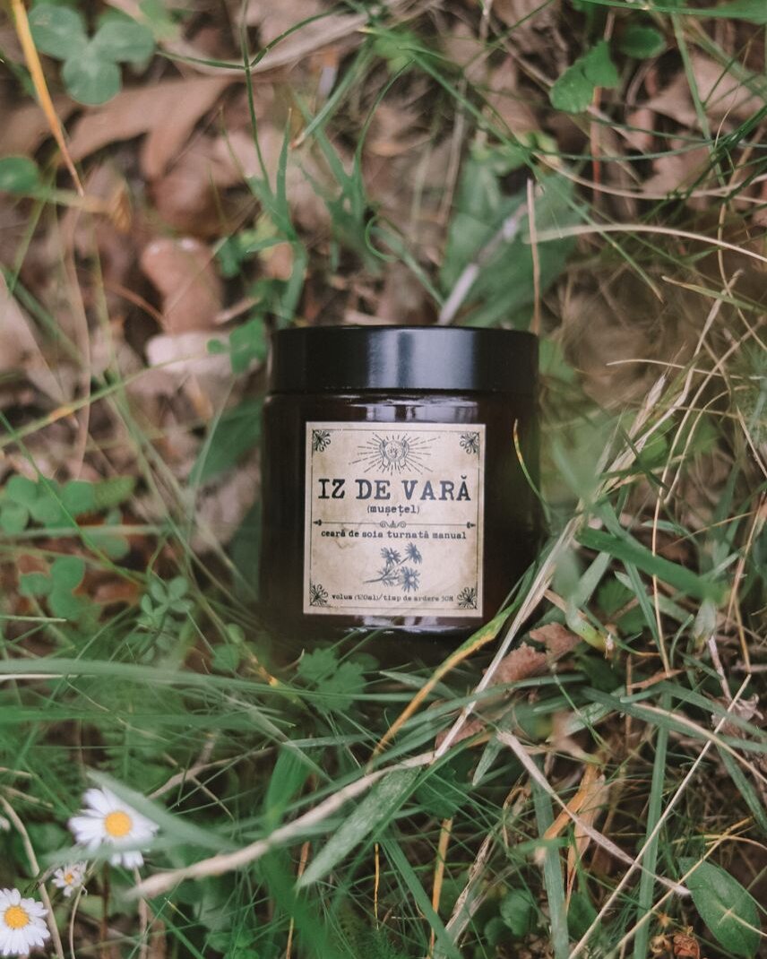 DESCÂNTEC: Iz de vară - mușețel